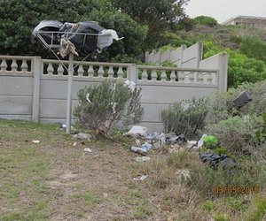 PEARLY BEACH BEWAREA CONSERVANCY: Beware of Baboons
